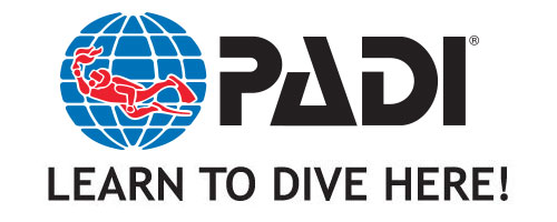 PADI Qualified Dive Masters at Hightide Barbados Dive Shop